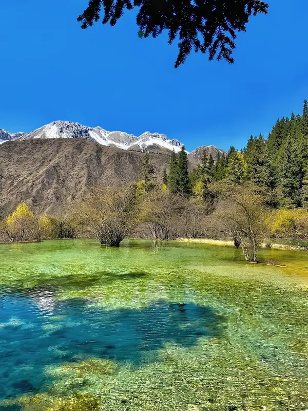Jiuzhaigou y Huanglong en 2 Días